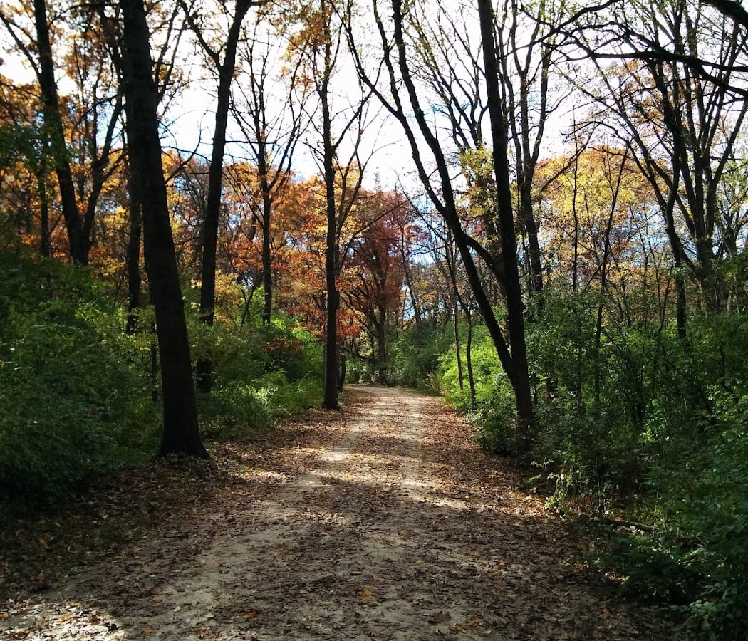 Blackwell Forest Preserve 4